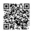 QR Code (код быстрого отклика)