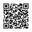 QR Code (код быстрого отклика)