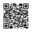 QR Code (код быстрого отклика)
