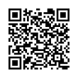 QR Code (код быстрого отклика)